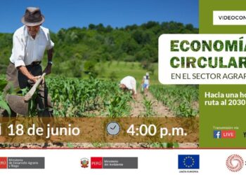 Circular Economy in Agriculture in Perú