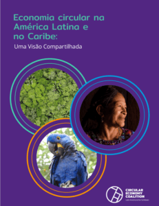 Lee más sobre el artículo Economia circular na América Latina e nas Caraíbas: uma visão partilhada