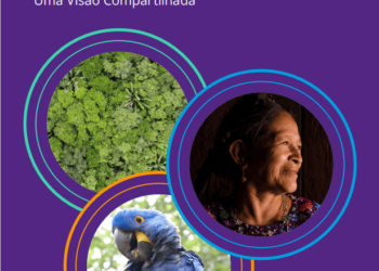 Economia circular na América Latina e nas Caraíbas: uma visão partilhada
