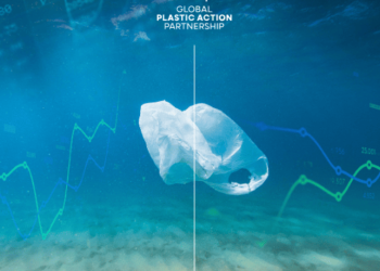 Desbloquear la Economía Circular de los Plásticos: Casos Prácticos de Inversión