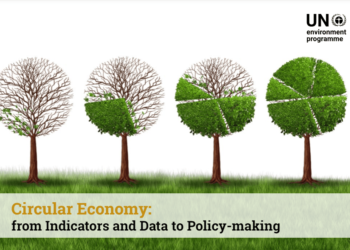 Economía Circular: De los Indicadores y los Datos a la Formulación de Políticas