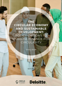 Read more about the article The Circular Economy and Sustainable Development: Policy options to mobilise finance for circularity