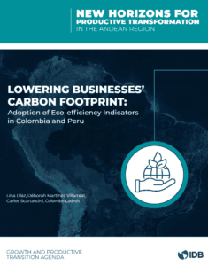 Read more about the article Lowering Businesses’ Carbon Footprint: Adoption of eco-efficiency indicators in Colombia and Peru